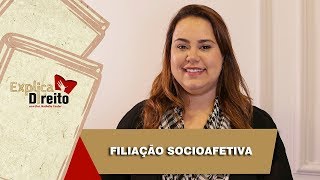 Explica Direito Filiação Socioafetiva  2019 [upl. by Sylvie656]