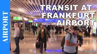 TRANSIT WALK AT FRANKFURT Airport FRA Terminal 1  Connection Flight Transfer Arriving amp Departing [upl. by Oriole]